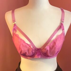One Dita Von Teese Madame X bra